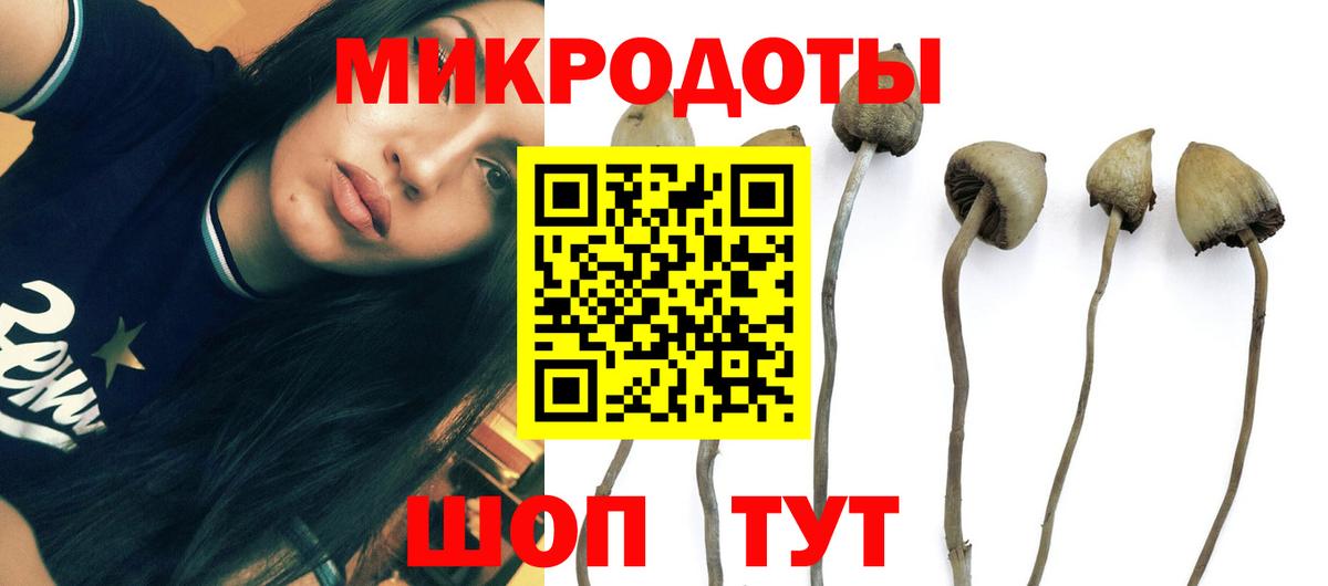 Галлюциногенные грибы Psilocybine cubensis  Вход с VPN  Галлюциногенные грибы GOLDEN TEACHER  Первоуральск 